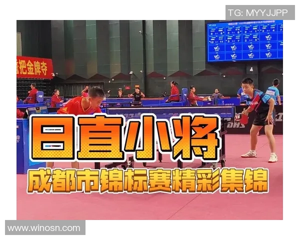 成都乒乓球队在全国战术排行榜中荣登第七名引发热议