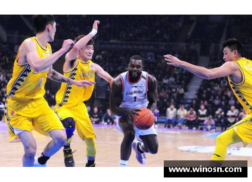 新浪NBA数据库：深度解析球员数据与赛季表现的终极指南