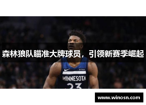 森林狼队瞄准大牌球员，引领新赛季崛起