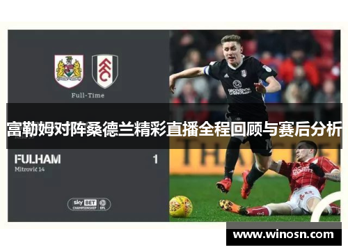 富勒姆对阵桑德兰精彩直播全程回顾与赛后分析