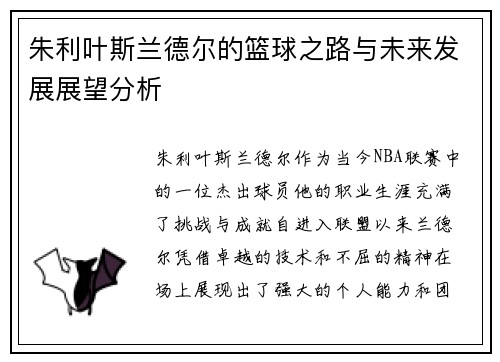 朱利叶斯兰德尔的篮球之路与未来发展展望分析